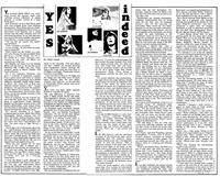 Articles & News